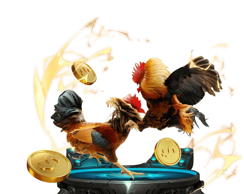 Banner khuyến mãi thể thao MCW777